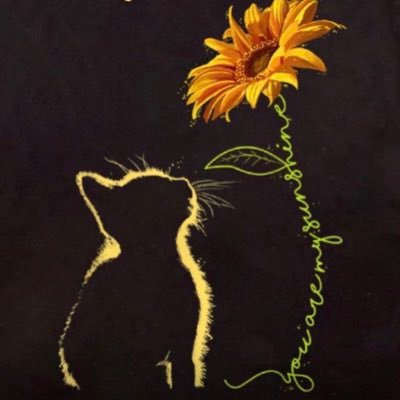 TinekeSenf's profile picture. 