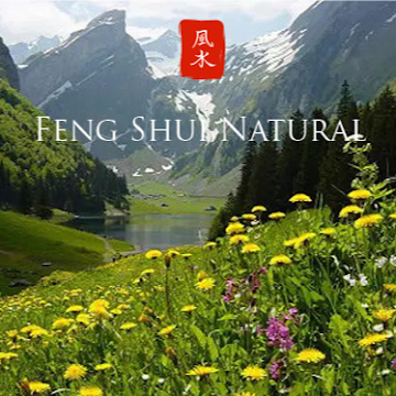 fengshuinatural's profile picture. Consultoría profesional en feng shui desde 1997 .Cursos y formación en feng shui tradicional, creación de software especializado.