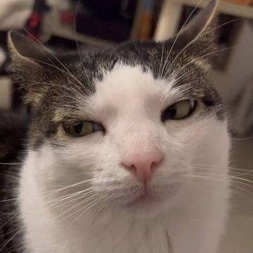 rukruk1122's profile picture. ผมรักคุณ