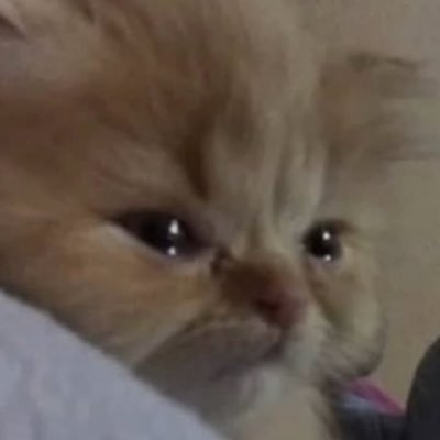 marsaspeace's profile picture. sebentar, nafas dulu...