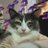 Nabla_TV's profile image