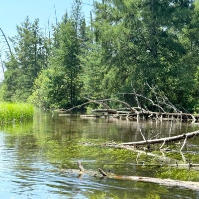 brustyhockr's profile picture. Sports NBA Basketball Track & Field Olympics Music Cute Gaming Haha Memes Weird