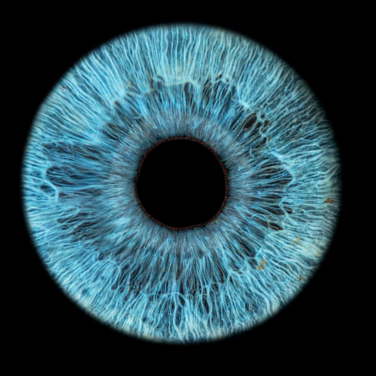 ZozhnikSOL's profile picture. https://t.co/YEDQudbc99