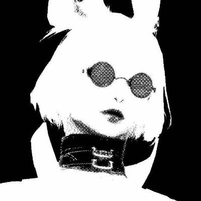 0rchid_mp3's profile picture. 