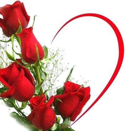 سلطانة الورد