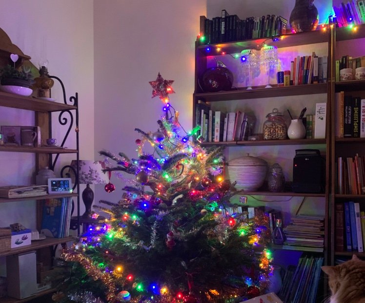 CatherineM8p8j's profile picture. 