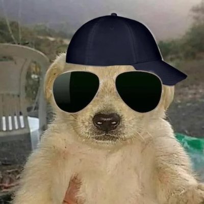 topper100x's profile picture. Free Palestine  أنا مسلم ، عربي، فلسطيني ، عسكلاني