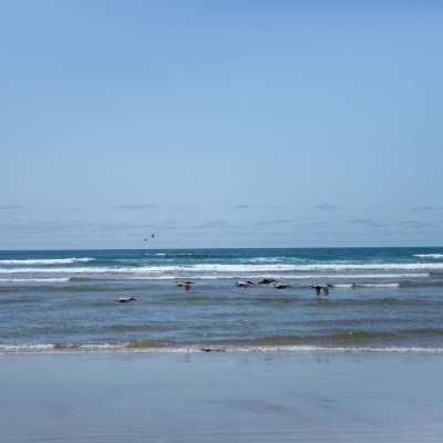 micheleprof's profile picture. 