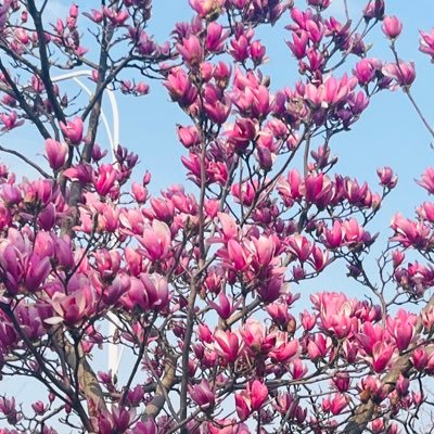 zzzrrr10692778's profile picture. 