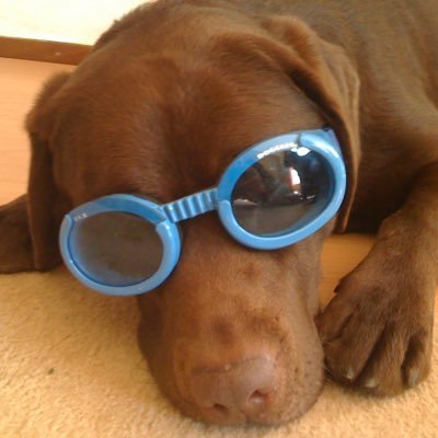 tournedisk's profile picture. un français aux pays-bas. relativement anonyme. ❤️≠like.