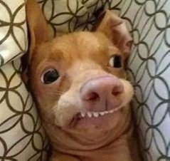 abyslim4real's profile picture. 