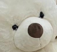 albanismajli1's profile picture. 