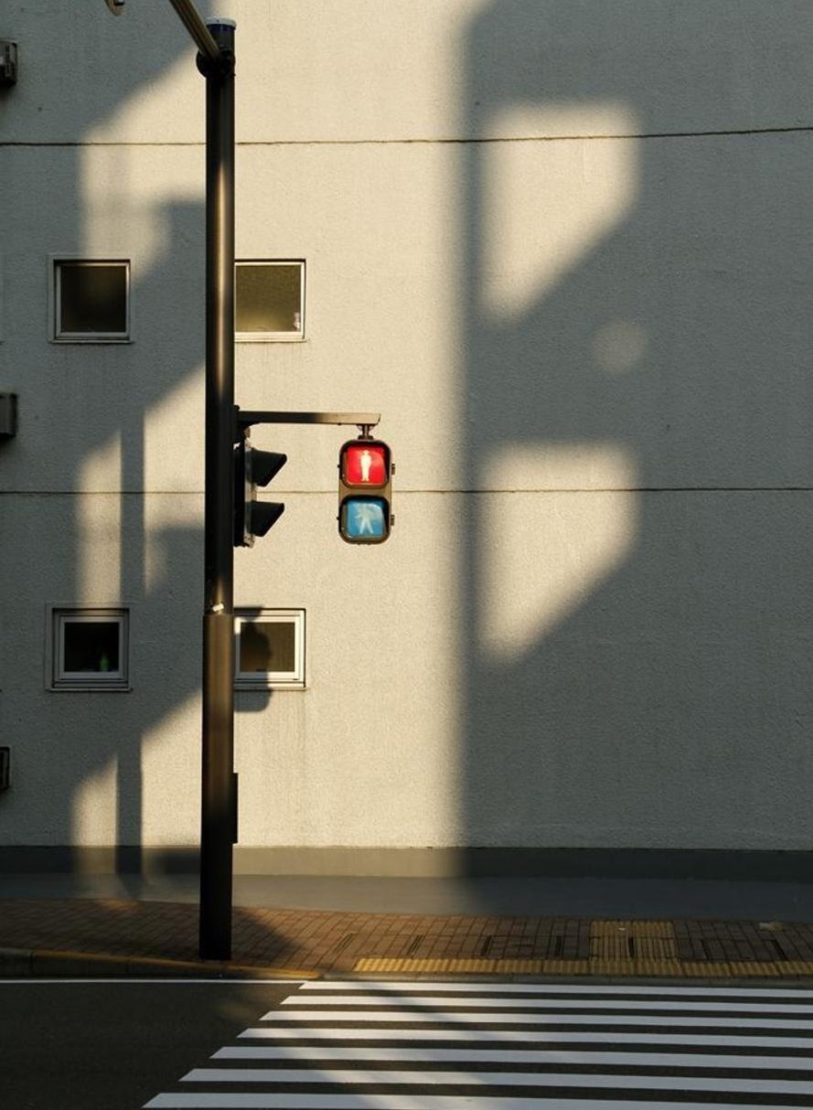 AlishaHosein22's profile picture. 