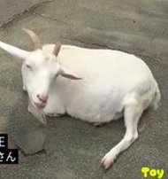 andie0911's profile picture. 