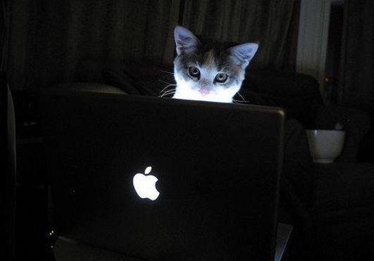 angelitazone's profile picture. 