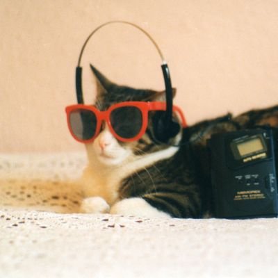 Cat_H_67's profile picture. 🇨🇵 ❤La France aux Français 🇨🇵❤ Tout est bon dans le cochon 🐷
Suivi par @JeanMessiha