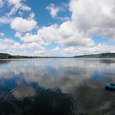 barrbrosmovings's profile picture. 