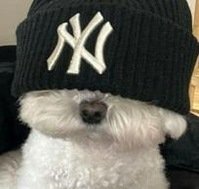 baksmeodndk's profile picture. 