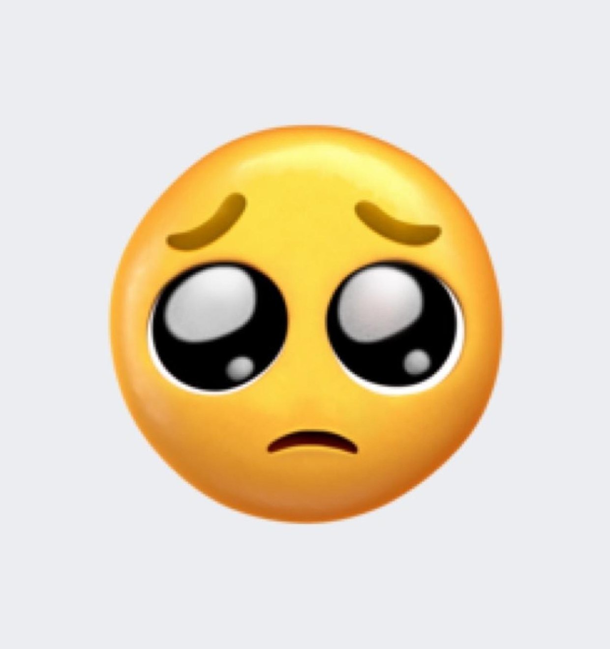 barb539's profile picture. 