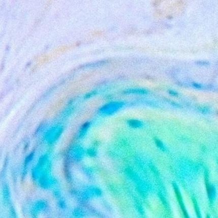 Barbie029's profile picture. 