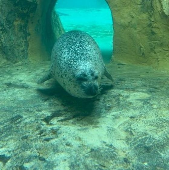 BeverlyCarle's profile picture. 