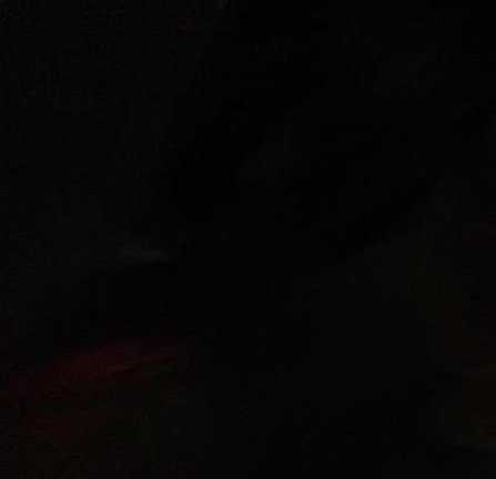 BkpAvenue's profile picture. 