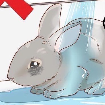 kskskoxqq's profile picture. 구독