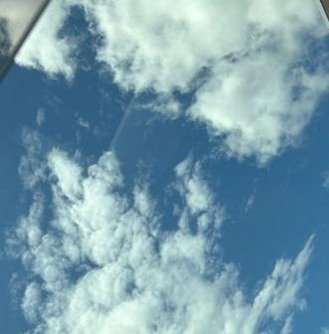 blfeuig's profile picture. 