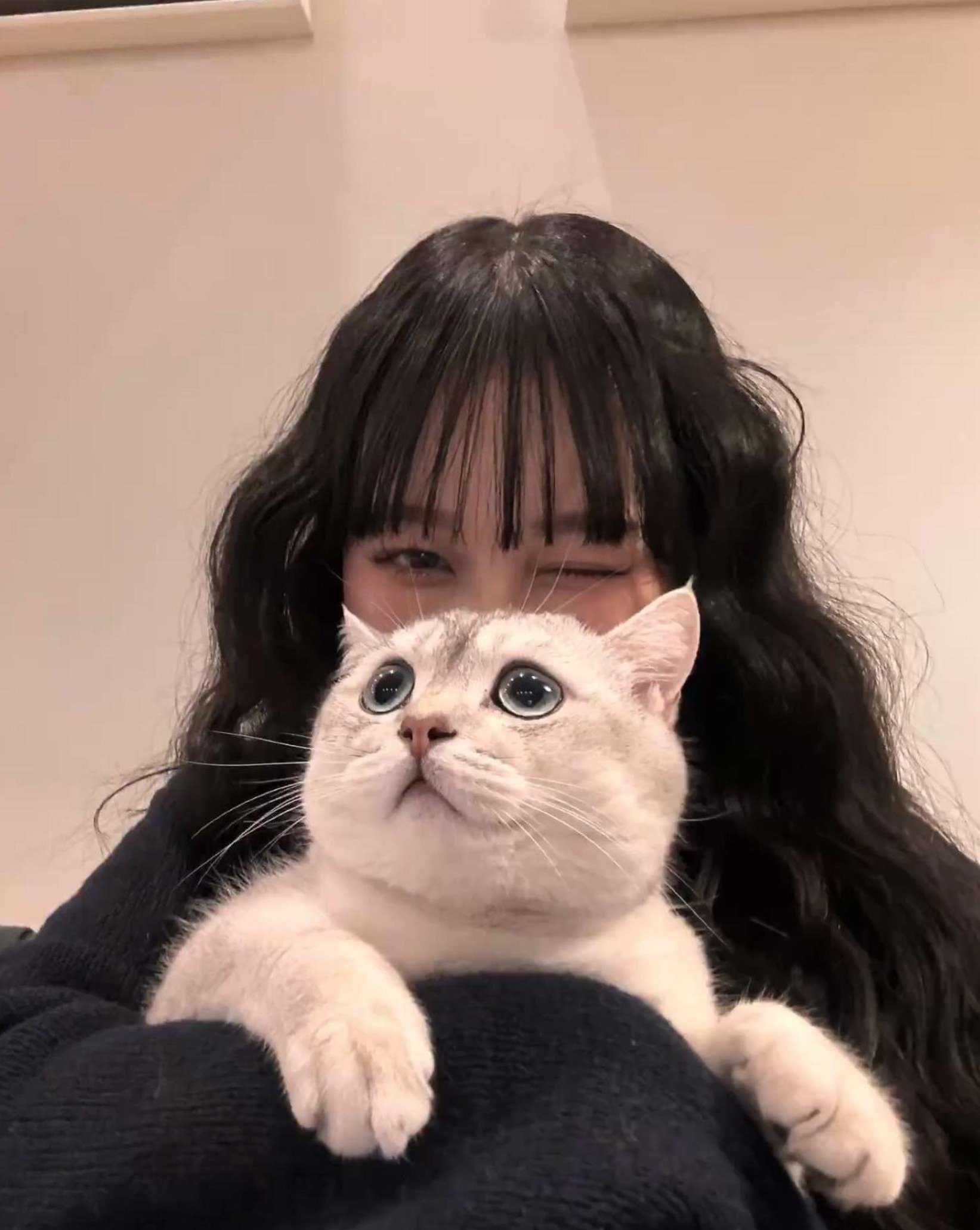 BlogRssKW's profile picture. 