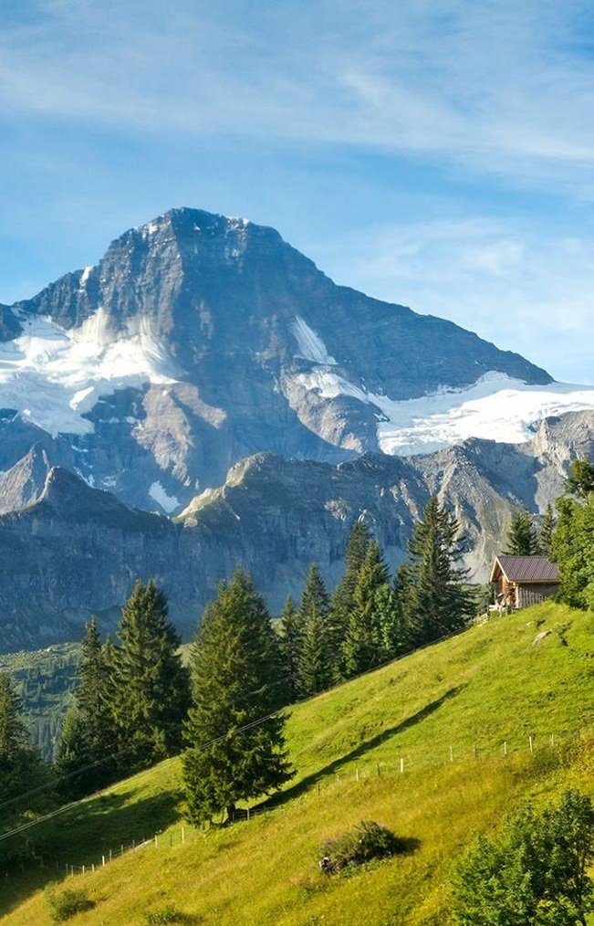 BrandonFreeberg's profile picture. 