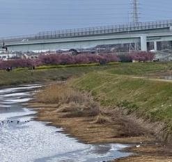 BRANNY98's profile picture. 