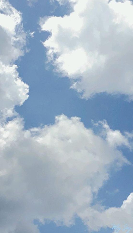 Brnavy55's profile picture. 