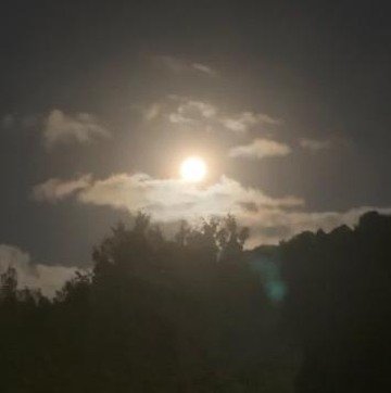 BTuckyY0's profile picture. 