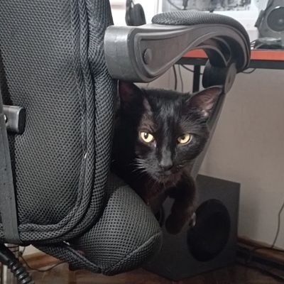 z_zergling's profile picture. .: Friki - Gran consumidor de recitales - Mi humor es ácido y negro :.