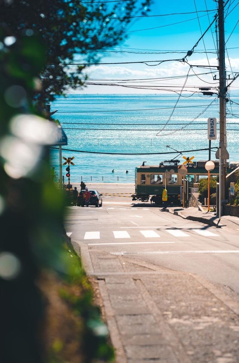 callumpokeon12's profile picture. 