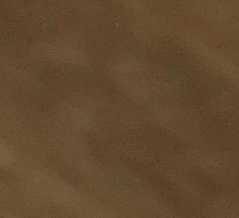 carloschals's profile picture. 