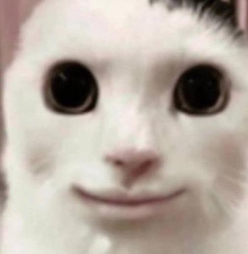 cheshskiy's profile picture. 