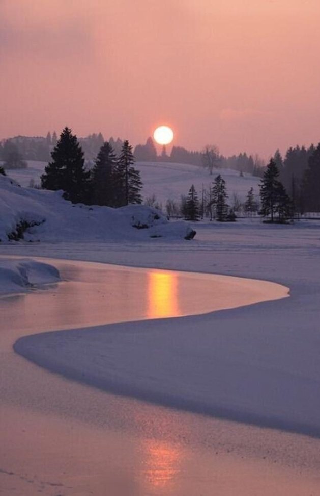 Codelie28's profile picture. 