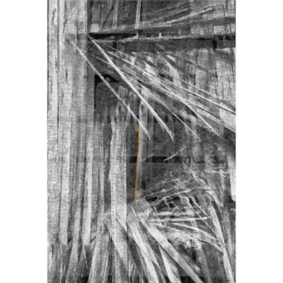 LRonKoontz's profile picture. 