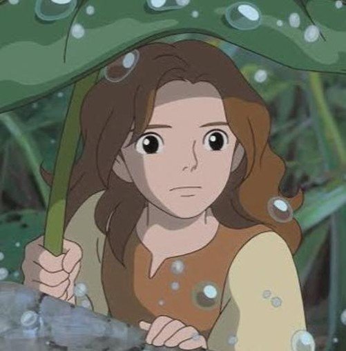 cristibota's profile picture. 