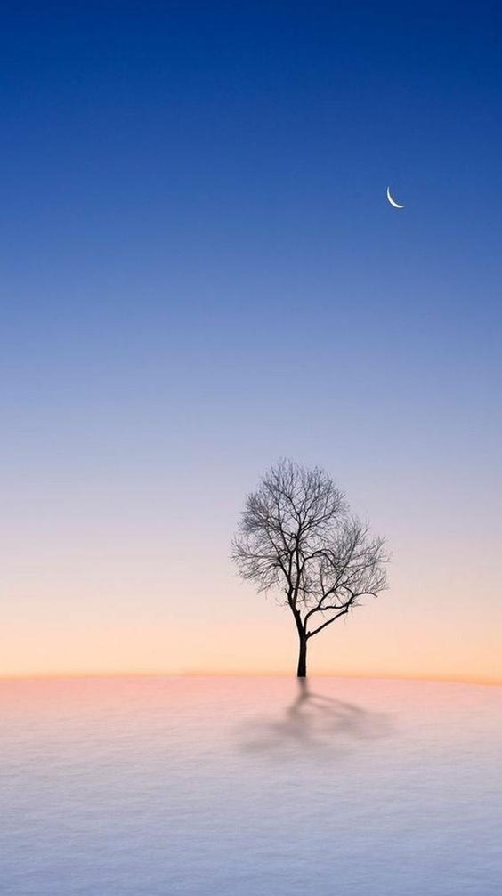 cusca_c's profile picture. 