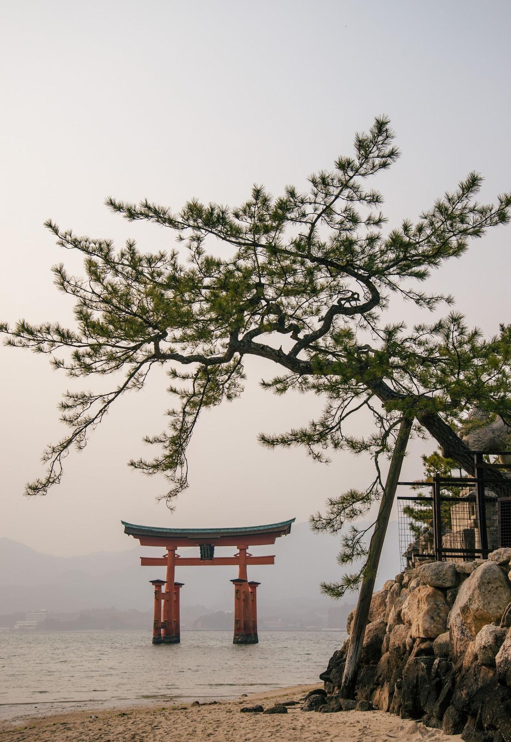 cxq0228's profile picture. 