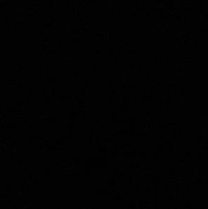 Danya648034's profile picture. 