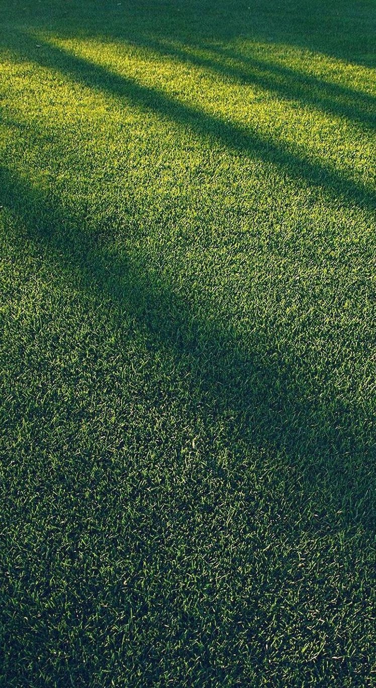 davidandjeffer's profile picture. 