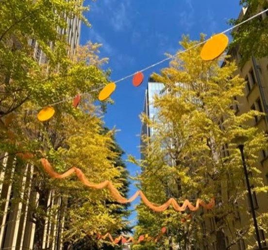 Dindosha's profile picture. 