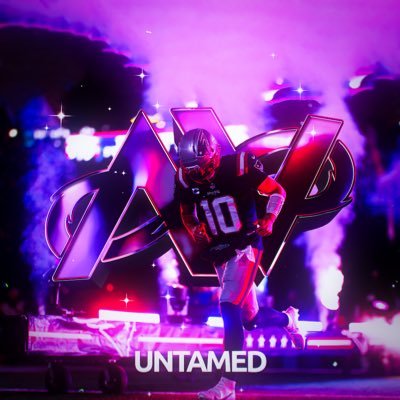 Untamds's profile picture. Owner & Leader @AV8Faction
