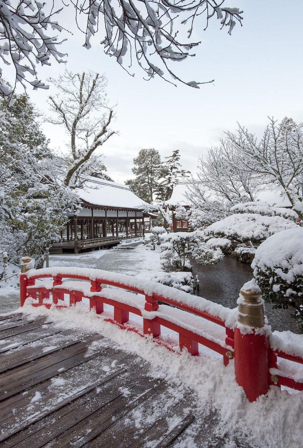 dzdaily's profile picture. 