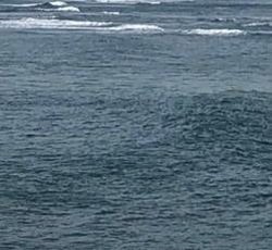 Essaalbloushi's profile picture. 