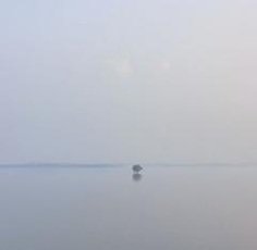 eugeniocaste's profile picture. 