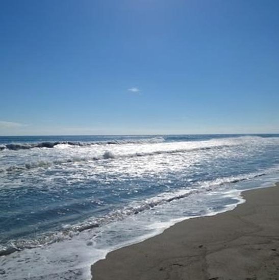 extasybabes's profile picture. 